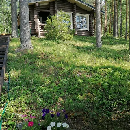 On The Shore Of Pielinen